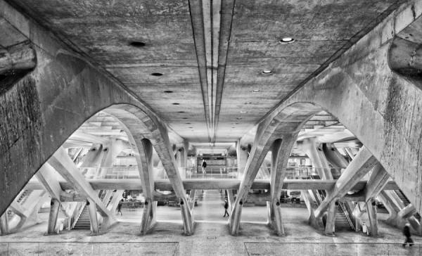 Photograph Vicente Moraga In The Heart Of The Station on One Eyeland